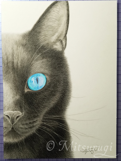絵　イラスト　ポートレート　肖像画　色鉛筆画　猫　黒猫