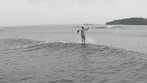 NSP SURF 8ʻ4