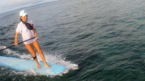 NSP SURF 8'4