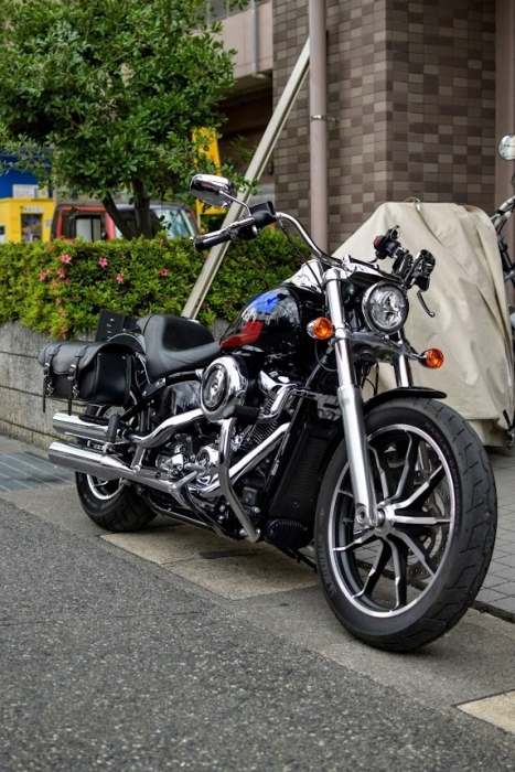 Harley-Davidson FXLR Softail Low Rider