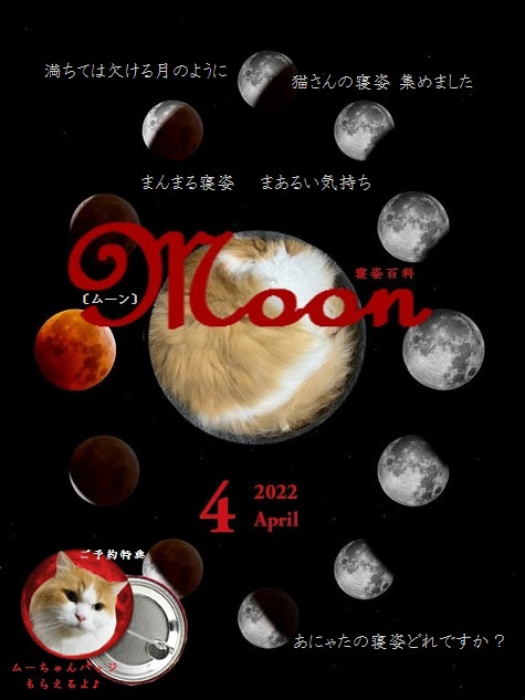 Moon@ムーちゃん＠