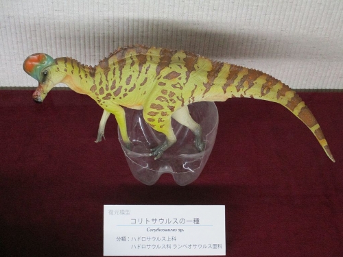 コリトサウルスの一種