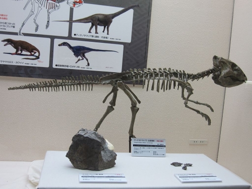 アーケオケラトプス Archaeoceratops