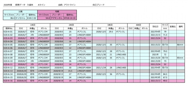 2020年度Aライン飼育データ