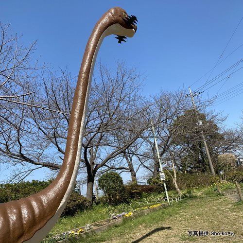田中第五公園（埼玉県松伏町）田中第五公園の恐竜像が増えている！　しかも日東商事のミニサイズのトリケラトプスじゃないですか！　なぜ？