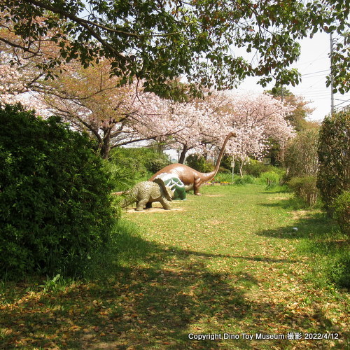 埼玉県松伏町にある田中第五公園に久しぶりに行きました！