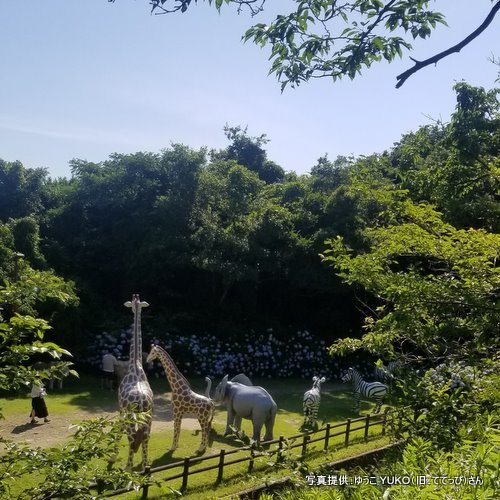 和歌山市森林公園（和歌山県和歌山市）【恐竜公園・博物館・恐竜展の訪問記】