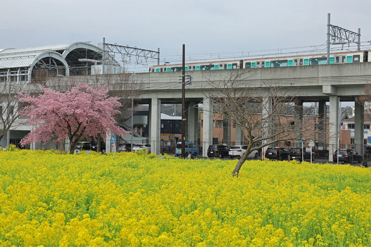 220317_Kawawacho-Train.jpg
