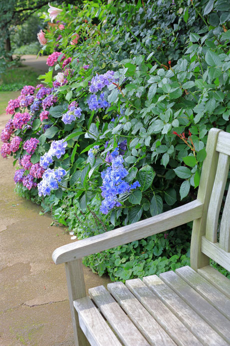 220621_English-Garden-Bench_3.jpg