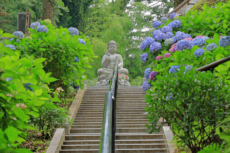 220621_Myorakuji-Buddha.jpg
