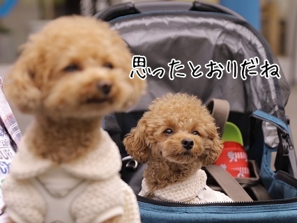 20220727⑩あき