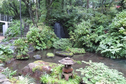 庭園の池2