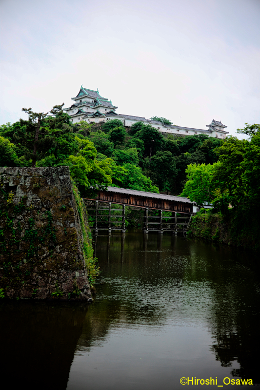 Osaka_castle2205_005.jpg
