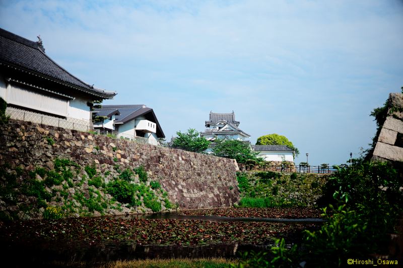 Osaka_castle2205_007.jpg