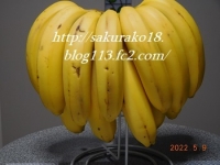 2022-5月9日バナナ1房