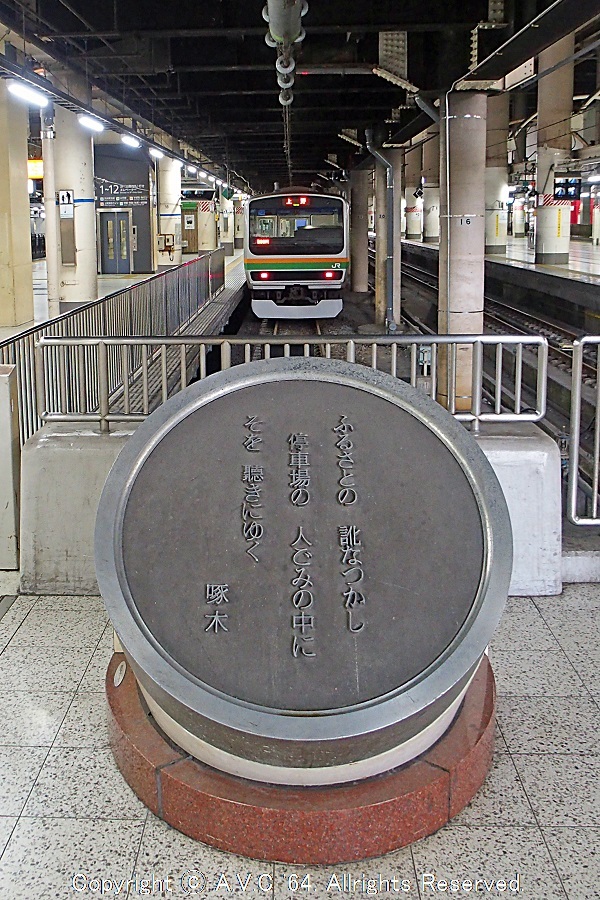 E231系＆上野駅歌碑 202004