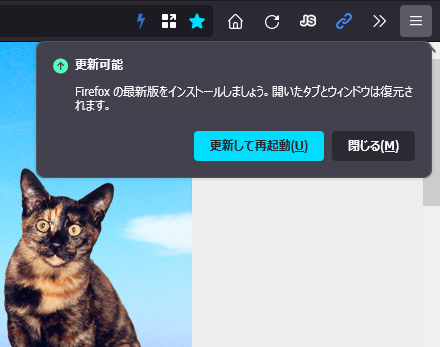 Mozilla Firefox 90.0 Beta 6