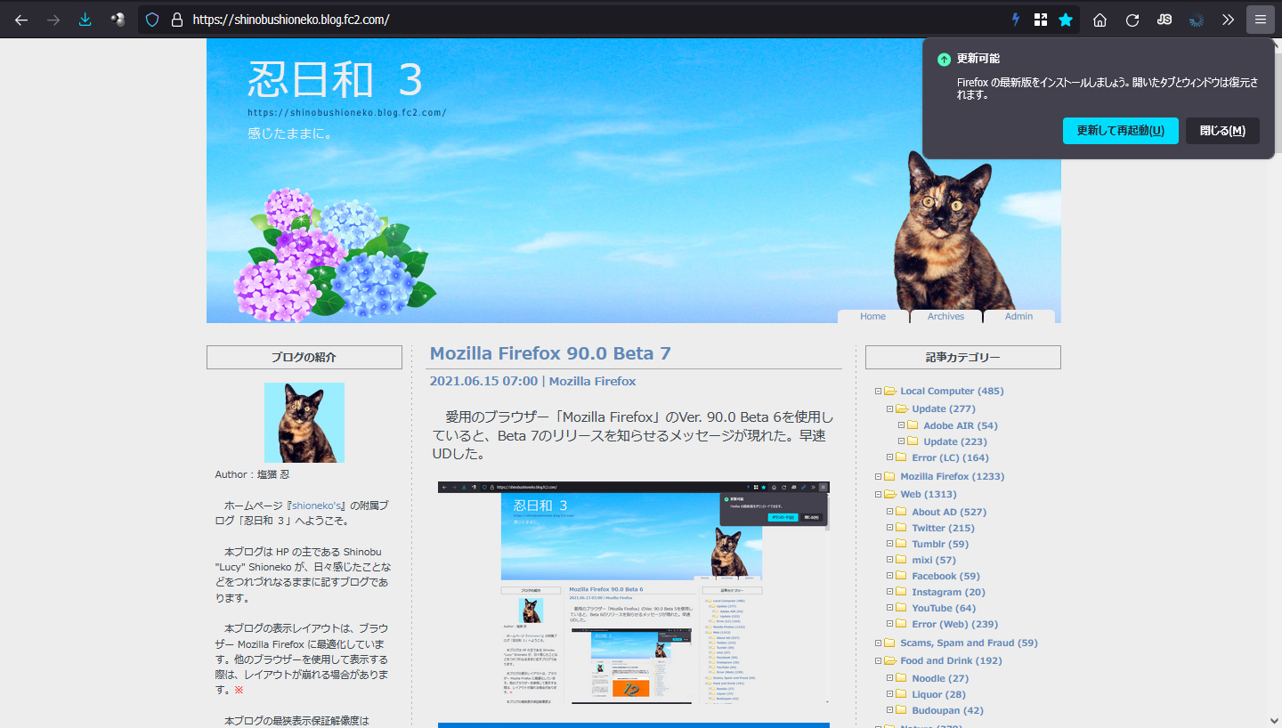 Mozilla Firefox 90.0 Beta 8