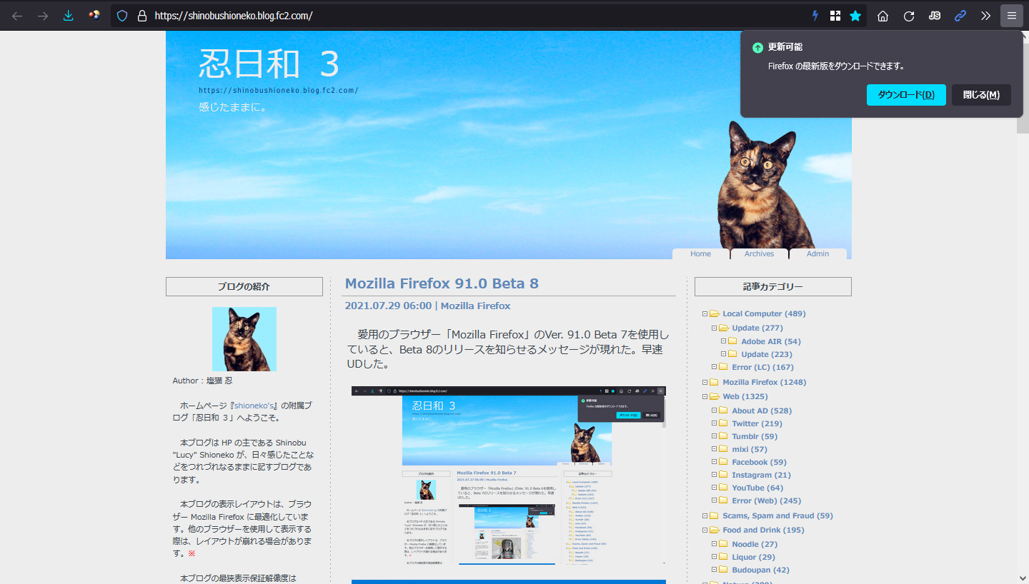 Mozilla Firefox 91.0 Beta 9