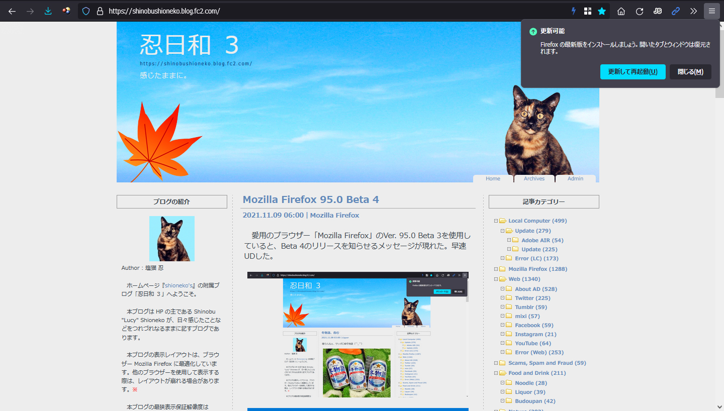 Mozilla Firefox 95.0 Beta 5