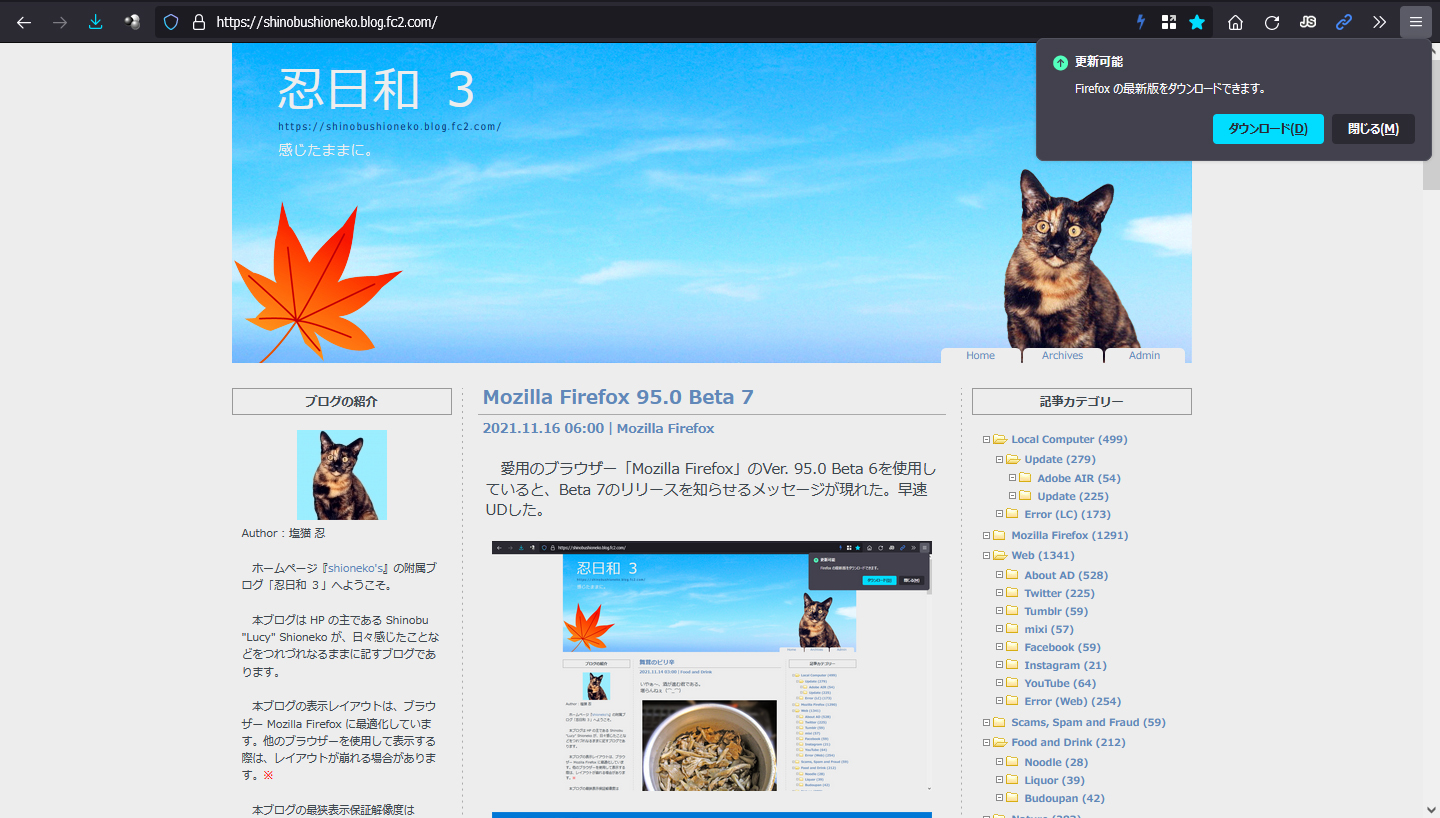 Mozilla Firefox 95.0 Beta 8