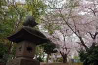 2022年3月ぶらり散歩－大石神社