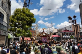 浅草三社祭１２