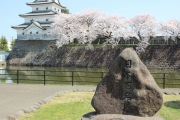 桜と城036