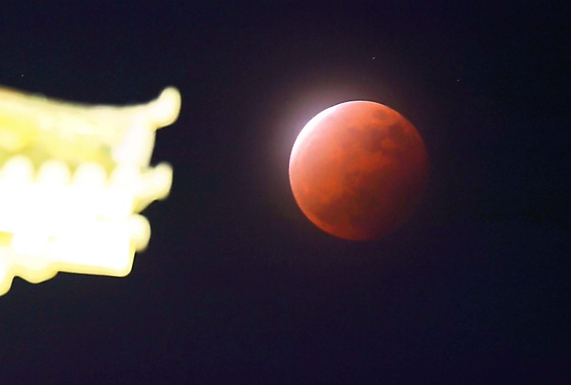 松本城公園から見えたスーパームーンの皆既月食。地球の影にすっぽり入り、赤銅色に見えた＝２６日午後８時１２分、松本市（小西由紀撮影）